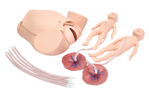 XC402B Childbirth Skill Training Simulator