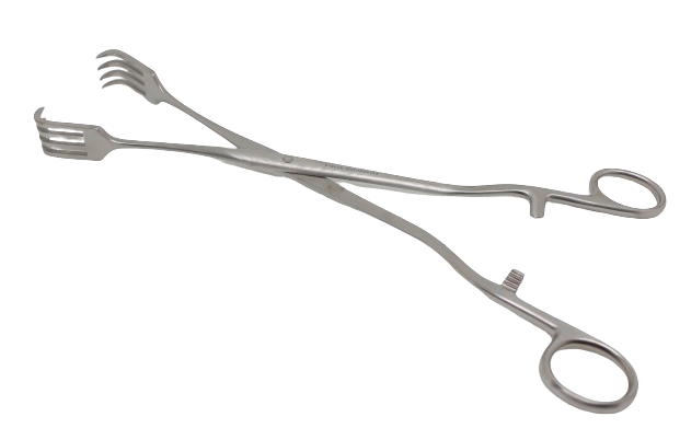 Pratt s Utherine Tenaculum Forcep 10 Golden Horse Medical Supplies Pratt s Utherine Tenaculum Forcep 10 Golden Horse Medical Supplies