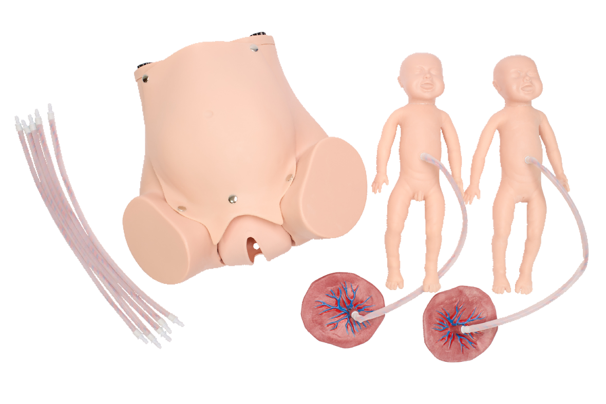 XC402B Childbirth Skill Training Simulator – Golden Horse Medical Supplies
