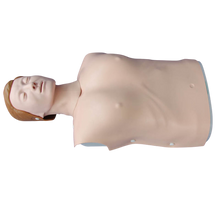 XC404B Half Body CPR Training Model (female)
