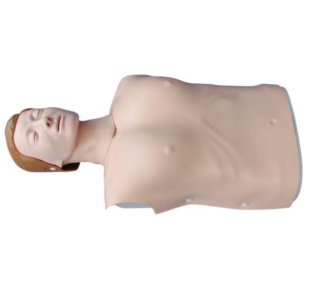 XC404B Half Body CPR Training Model (female)