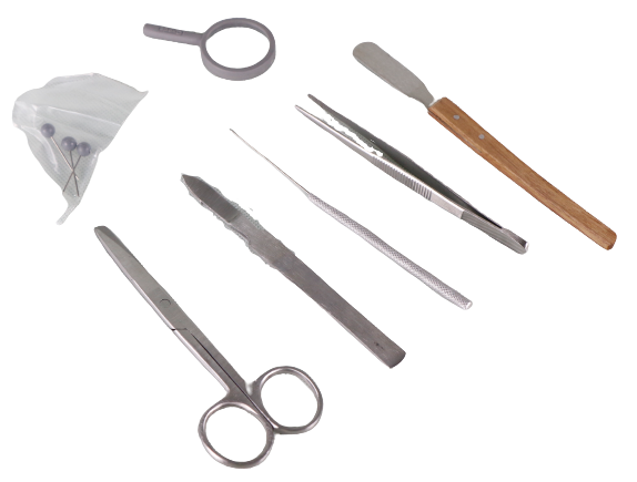 Stainless Steel Medical Dissecting Kit, For Surgery, Advanced Dissection Sets At Rs 22/piece In - Foto 11