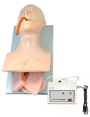 XC407 Human Intubation Teaching Model