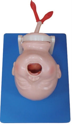 XC410 Newborn Intubation Model