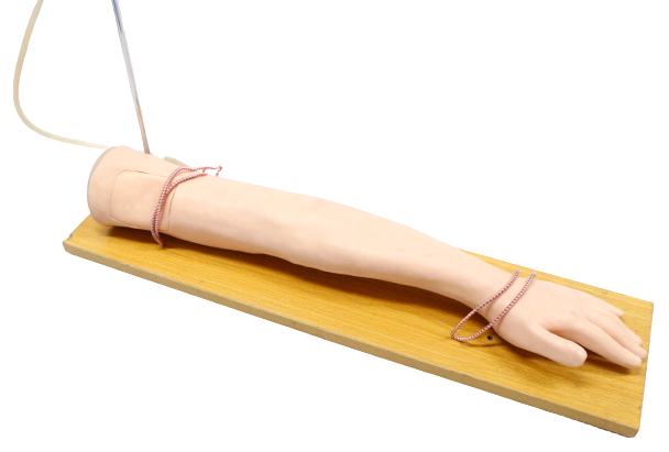 XC434 Injectable IV Arm Training Model – Golden Horse Medical Supplies